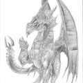 0264-medieval_dragon