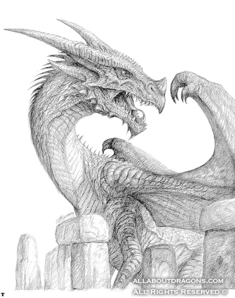 0015-dragons_tattoo_