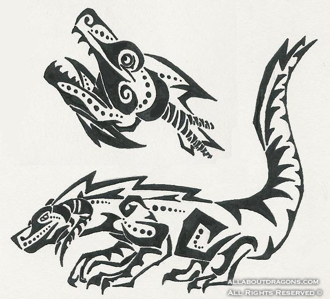 1017-dragons-tribal_dragon_by_darkkhimera.jpg