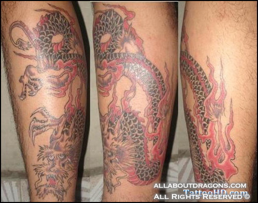 0569-dragon-tattoo-d