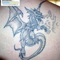 0177-700_dragon-tatt