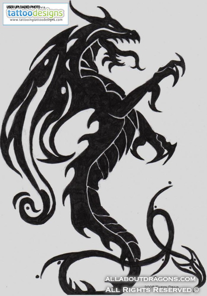 0562-700_dragon-tattoo-design-by-tigeress-31065762.jpg