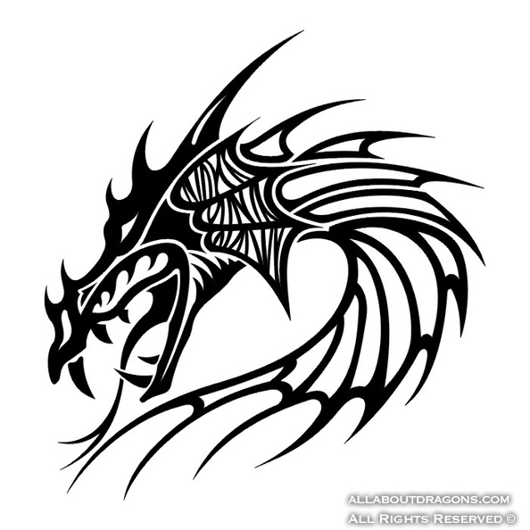 0035-medieval-hollow-tribal-dragon-head-dragon-tattoo-designs.jpg