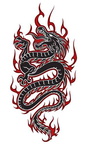 0010-dragon_tattoos