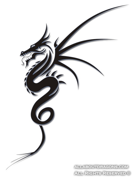 0052-tribal-dragon-tattoo-215365_0183-nc.jpg