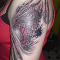 0114-dragon-tattoo-f