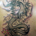 0063-dragon-tattoo-d