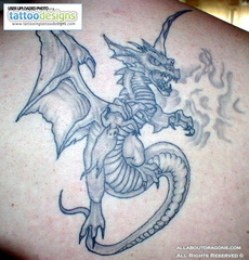 0149-700_dragon-tatt
