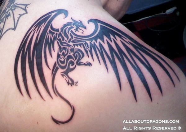 0484-flying-dragon-tattoo.jpg