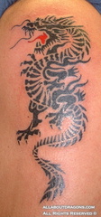 0462-dragon-tattoo-t