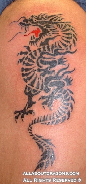 0462-dragon-tattoo-tribal-2.jpg