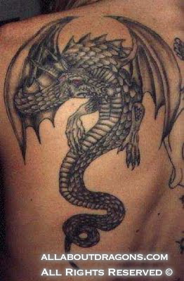 0583-dragon_tattoo.jpg