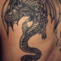 0583-dragon_tattoo