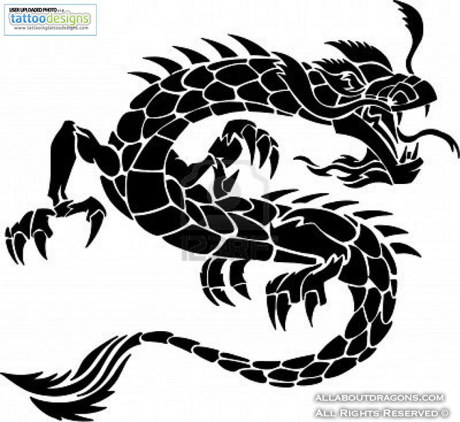 1101-1100_tribal-tattoo-dragon-vector-illustratie-920380626.jpg