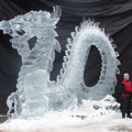 0352-ICe_dragon_by_1