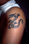 0956-dragon-tattoo-f