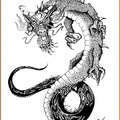 0588-Dragons_tattoo_