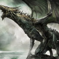 0719-Black-dragon-wa