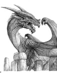 0312-Fantasy-Dragon-