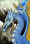 0630-frost-dragon