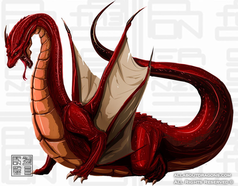 2004-dragon-Red_Salamander_by_eronzki999.jpg