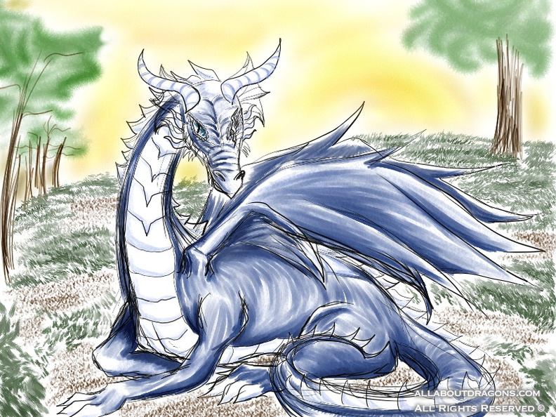 1446-dragon-Hey_Follow_Me_CONTEST_Entry_by_Usagi_Moni.jpg