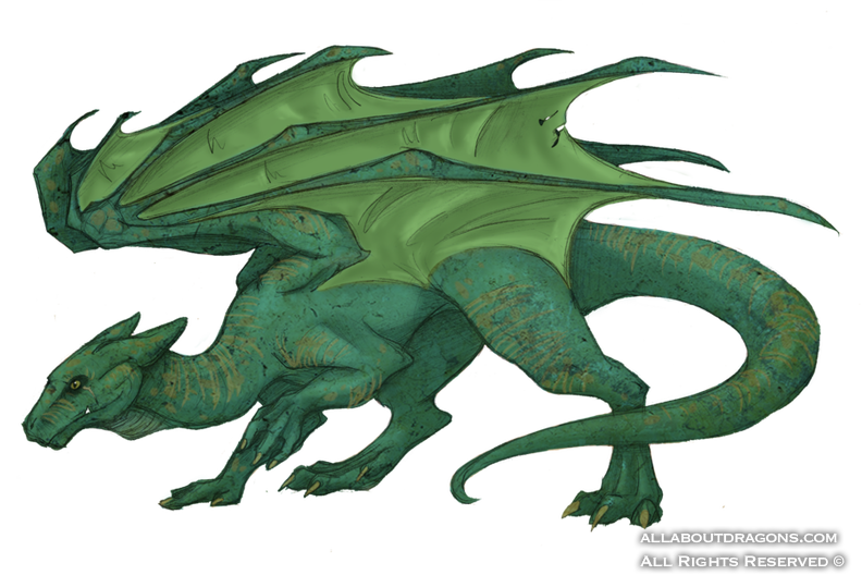 0063-dragon-dra___terrus_dragon_by_wrentree-d3l8v3k.png