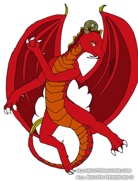 2359-dragon-conner_by_midnightflaze-d40zxwu.png