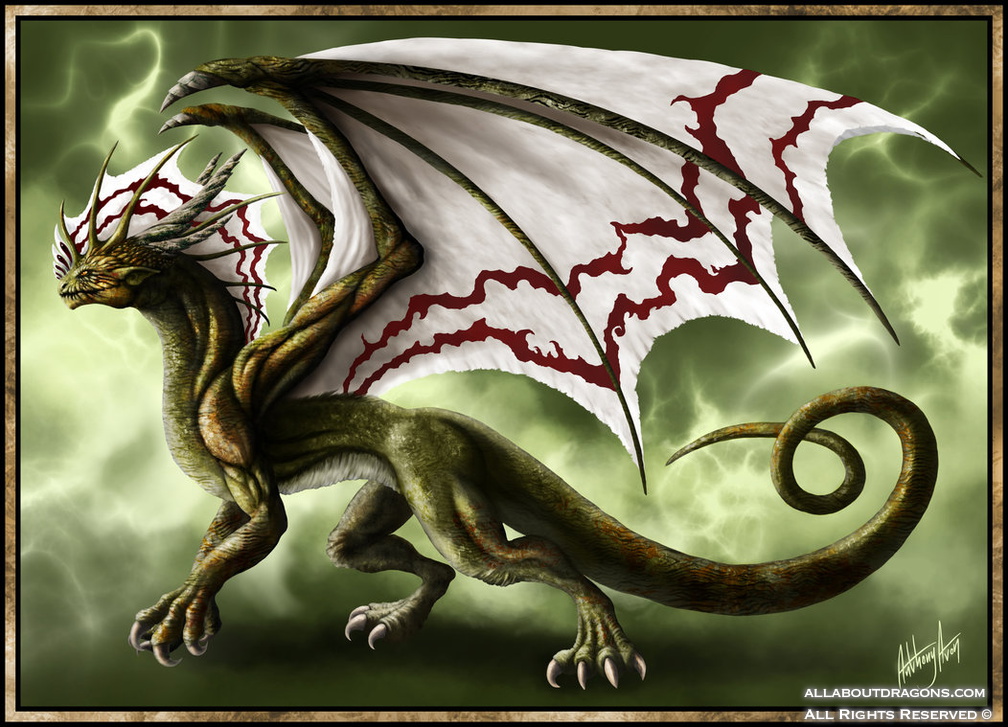 1260-dragon-kaledra_
