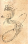 0525-dragons-design_