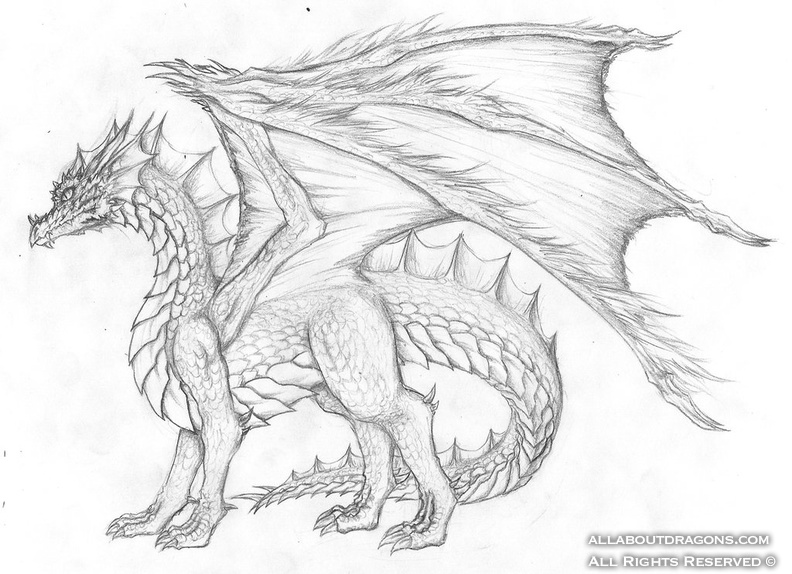 0575-dragons-__drago