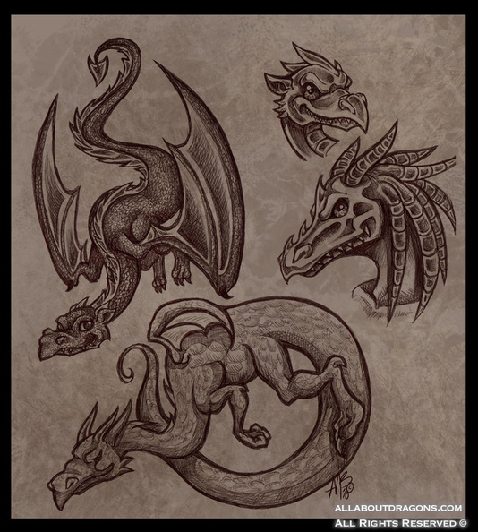0581-dragons-more_dr