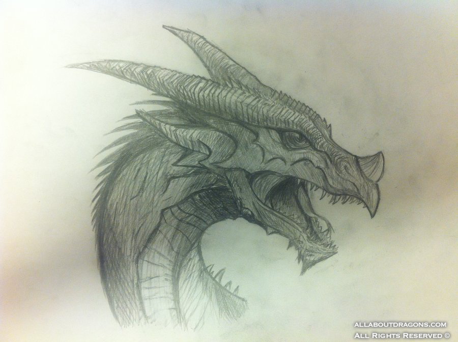 0603-dragon-dragon_b