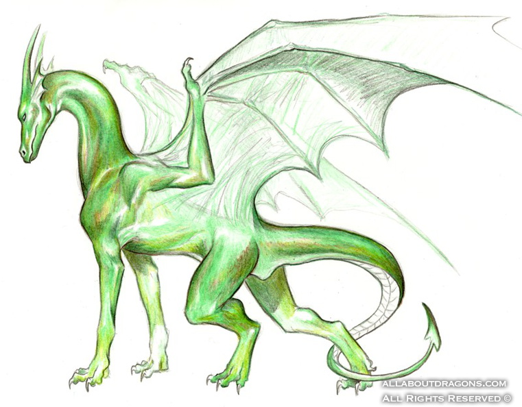 0668-dragon-my_drago