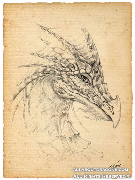 0669-dragons-Dragon_