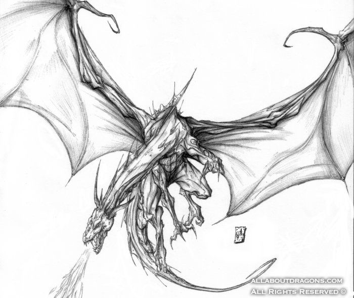 0678-dragon-___some_