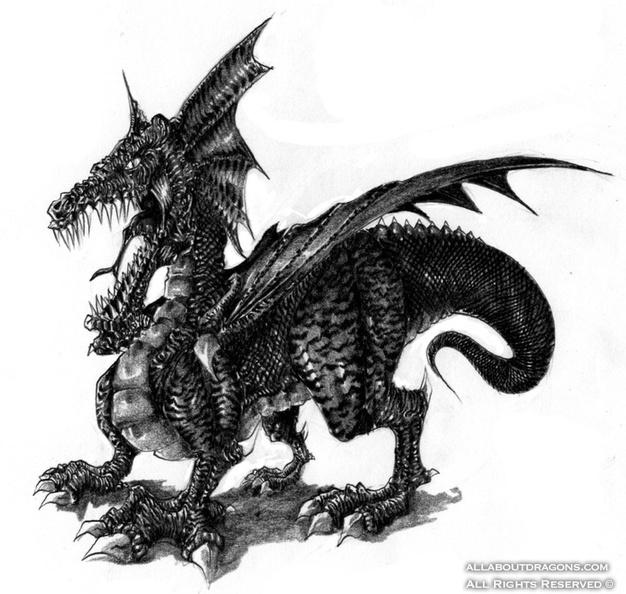 0683-dragon-Dragon_2
