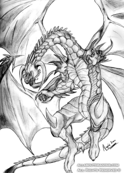 0687-dragons-bahamut