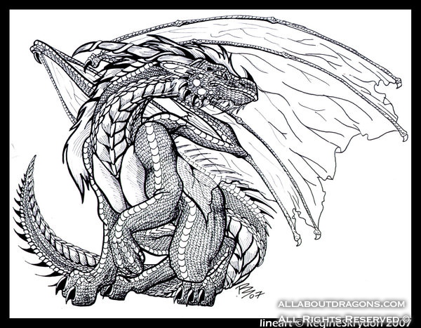 0689-dragons-Dragons___Greygon_by_RegineSkrydon.jpg