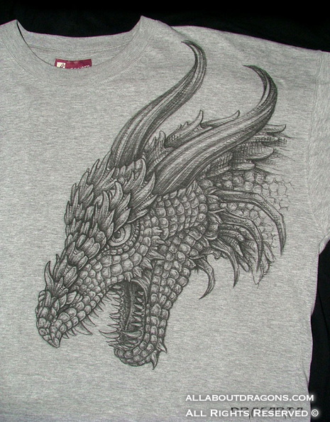 0693-dragon-Dragon_T_shirt_by_Dragarta.jpg