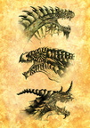 0802-dragons-dragons