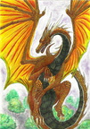 0811-dragon-dragon__