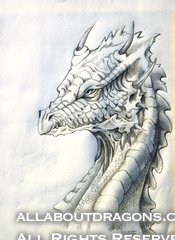 1013-dragon-__Dragon