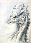 1013-dragon-__Dragon