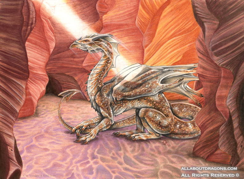 1137-dragons-Canyon_Dweller_by_bloodhound_omega.jpg