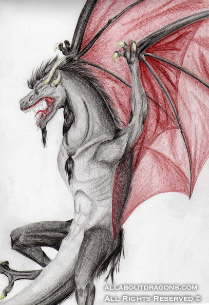 1164-dragon-Black_Dr