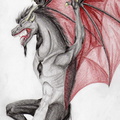 1164-dragon-Black_Dr