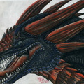 1175-dragons-S_Hellf
