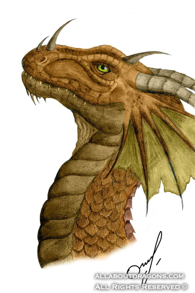 1203-dragon-Dragon_b