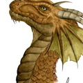 1203-dragon-Dragon_b